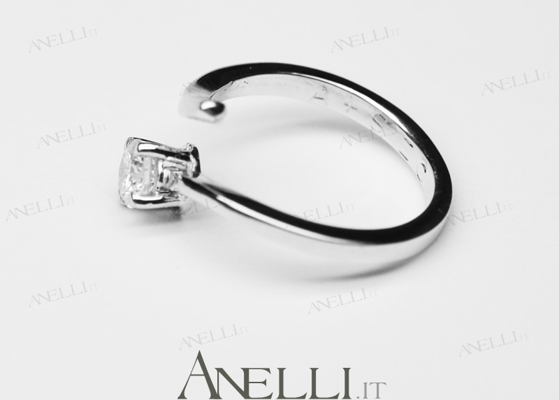 Anelli-serpenti-20 Anelli-serpenti-20
